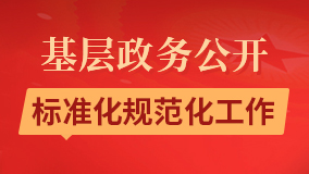 基层政务公开标准化规范化工作