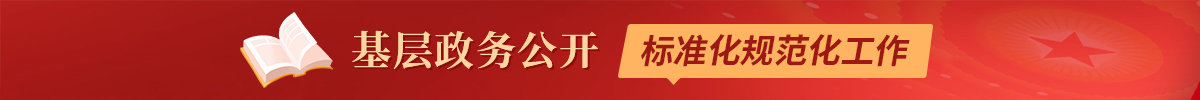 基层政务公开标准目录