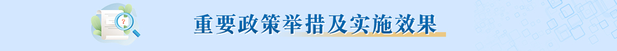 重要政策举措及实施效果