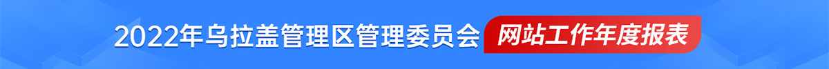 政府网站工作报表