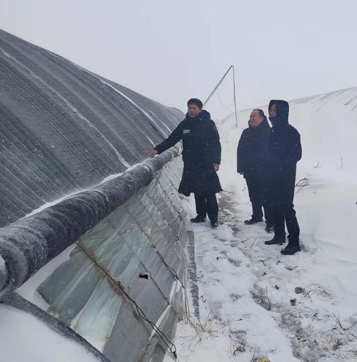 常胜督导暴雪天气防灾减灾工作