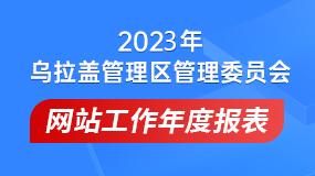 政府网站工作报表