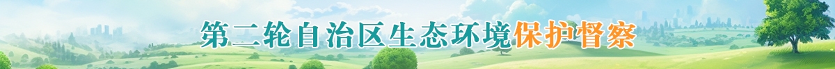 第二轮自治区生态环境保护督察专栏
