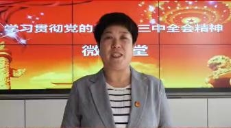 访谈：学习贯彻党的二十届三中全会精神微讲堂