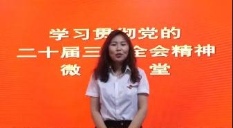 专访：学习贯彻党的二十届三中全会精神微讲堂