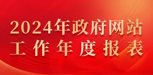 2024年政府网站工作报表