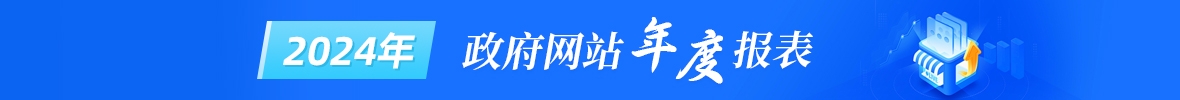 2024年政府网站工作报表