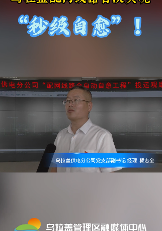 访谈解读：乌拉盖配网线路首次实现“秒级自愈”！